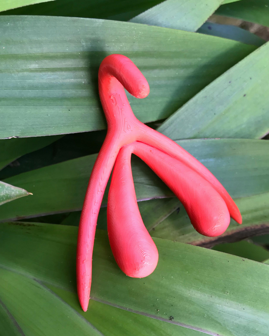 Clitoris: Does Size Matter? Yes but Not the Way You Think